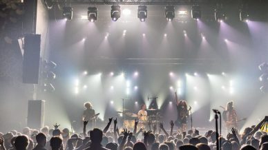Pigeons Playing Ping Pong at  on November 22, 2019
